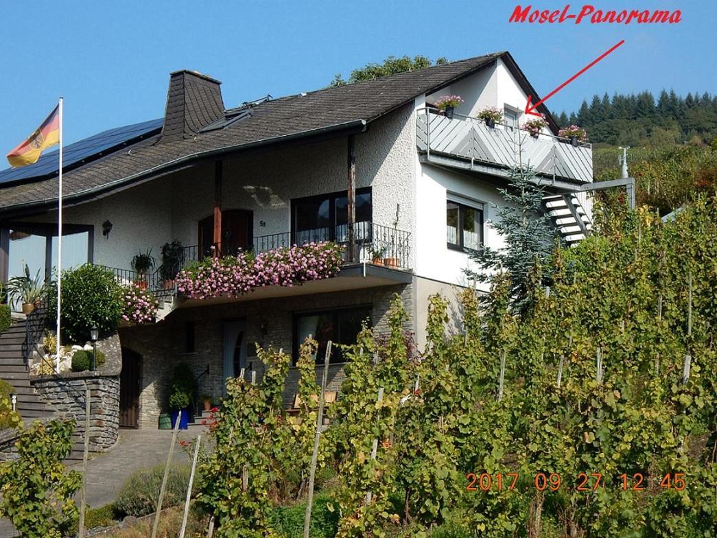 恩克里克Mosel-Panorama公寓 外观 照片